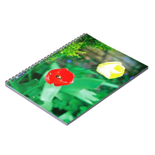 Carnet Tulipes (Côté gauche)