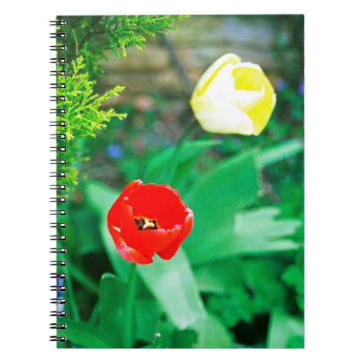 Carnet Tulipes (Devant)