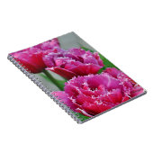 Carnet Tulipes à perroquets roses (Côté Droit)