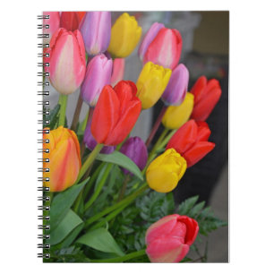 Carnet Tulipes à ressort colorées