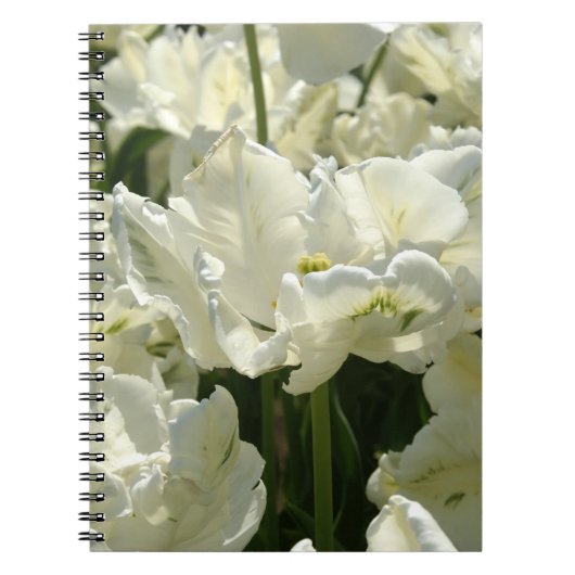 Carnet Tulipes blanches (Devant)