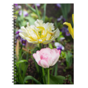 Carnet Tulipes blanches, roses et jaunes dans le jardin