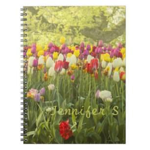 Carnet Tulipes colorées dans un parc personnalisé