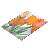 Carnet Tulipes d'agrumes orange (Côté gauche)