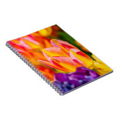 Carnet Tulipes Enchantant (Côté Droit)