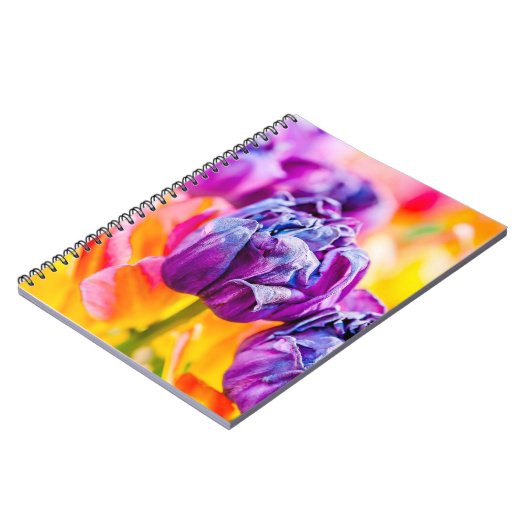 Carnet Tulipes Enchanter 14 (Côté gauche)