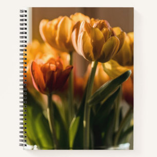 Carnet Tulipes Fleurs orange