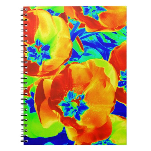 Carnet tulipes fluorescentes (Devant)