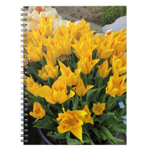 Carnet Tulipes jaunes uniques