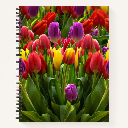 Carnet Tulipes lumineuses (Devant)