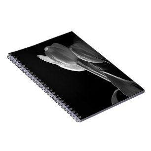 Carnet Tulipes noires et blanches