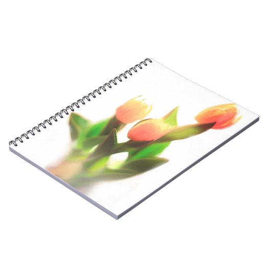 Carnet Tulipes orange (Côté gauche)