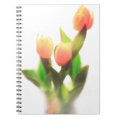 Carnet Tulipes orange (Devant)