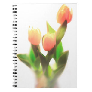 Carnet Tulipes orange