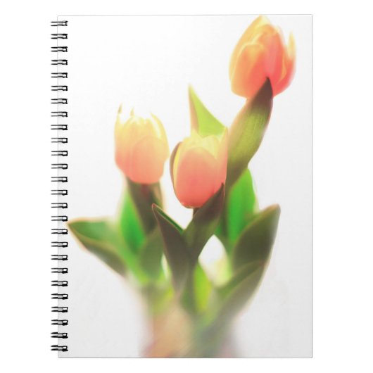 Carnet Tulipes orange (Devant)