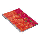 Carnet Tulipes orange et rose (Côté Droit)