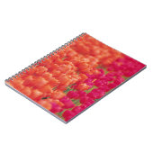 Carnet Tulipes orange et rose (Côté gauche)