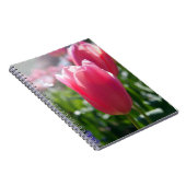 Carnet Tulipes roses (Côté Droit)