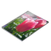 Carnet Tulipes roses (Côté gauche)