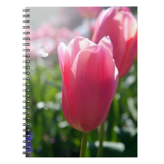 Carnet Tulipes roses (Devant)