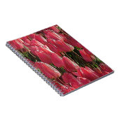 Carnet Tulipes roses florales (Côté Droit)