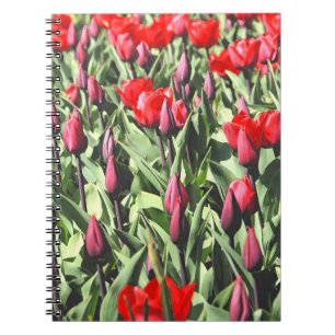 Carnet Tulipes rouges