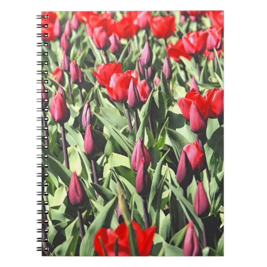 Carnet Tulipes rouges (Devant)