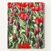 Carnet Tulipes rouges (Dos)