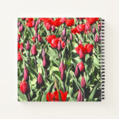 Carnet Tulipes rouges (Dos)