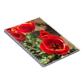Carnet Tulipes rouges à l'intérieur (Côté Droit)