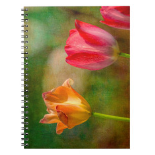 Carnet Tulipes rouges et jaunes sur fond texturé