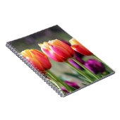 Carnet Tulipes tombées flammes (Côté Droit)