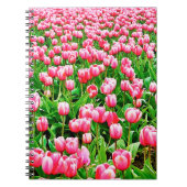 Carnet Tulips (Devant)