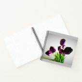 Carnet Tulips de Dark (Intérieur)