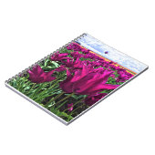 Carnet Tulips de Purple (Côté gauche)
