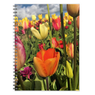 Carnet Tulips du Colorful