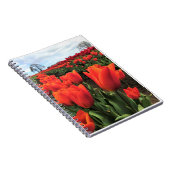 Carnet Tulips orange à Field, Oregon (Côté Droit)