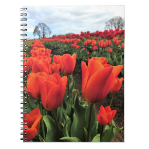 Carnet Tulips orange à Field, Oregon
