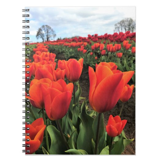 Carnet Tulips orange à Field, Oregon (Devant)