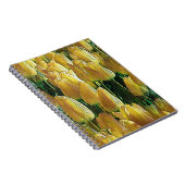 Carnet Tulips Sunshine Yellow (Côté Droit)