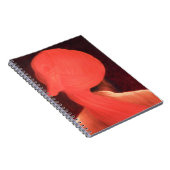 Carnet Turban étrange (Côté Droit)