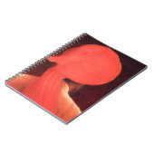 Carnet Turban étrange (Côté gauche)