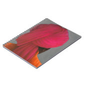 Carnet Turban rose (Côté gauche)