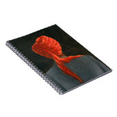Carnet Turban rouge 2004 (Côté Droit)