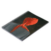 Carnet Turban rouge 2004 (Côté gauche)