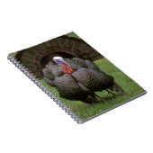 Carnet Turquie (Côté Droit)