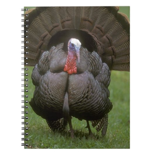 Carnet Turquie (Devant)