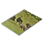 Carnet Turquie sauvage, couleurs du Camouflage (Côté gauche)