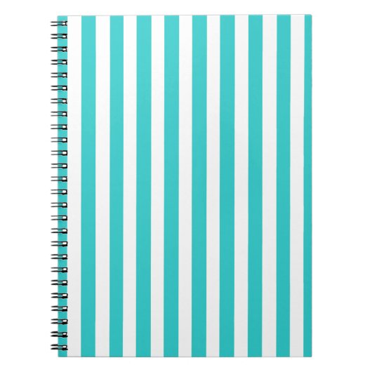 Carnet Turquoise (Devant)
