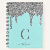 Carnet Turquoise Aqua Silver Éperche Parties scintillant  (Devant)